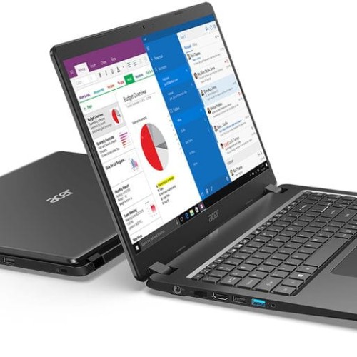 acer1.jpg